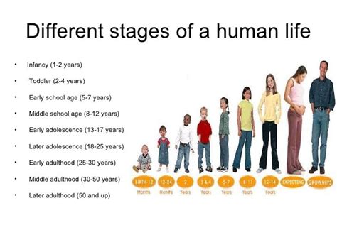 Personal Details and Current Stage of Life