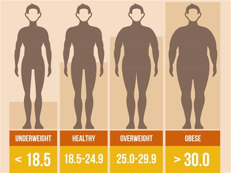 Personal Information: Age, Stature, and Body Composition