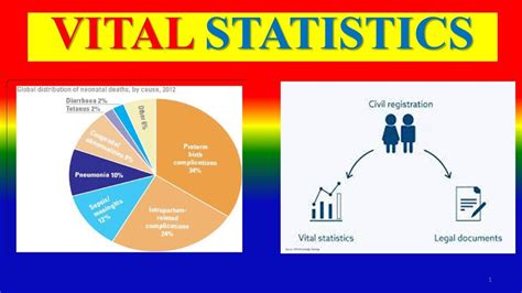 Personal Information and Vital Stats