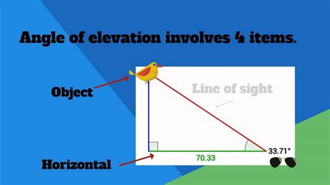 Personal Profile: Years Alive, Elevations, Shape, Assetfulness Explained