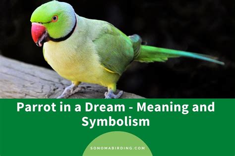 Personal experiences: Real-life stories of individuals and their significant encounters with parrot dreams