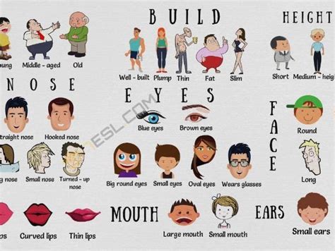 Physical Appearance Breakdown