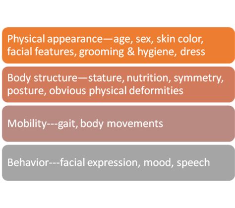 Physical Appearance and Body Structure of Discordia Suicide