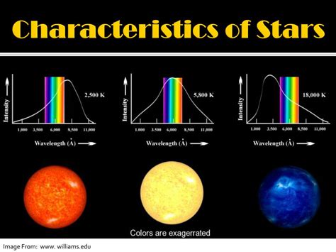 Physical Appearance of the Star