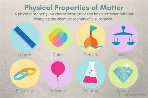 Physical Attributes and Property Portfolio