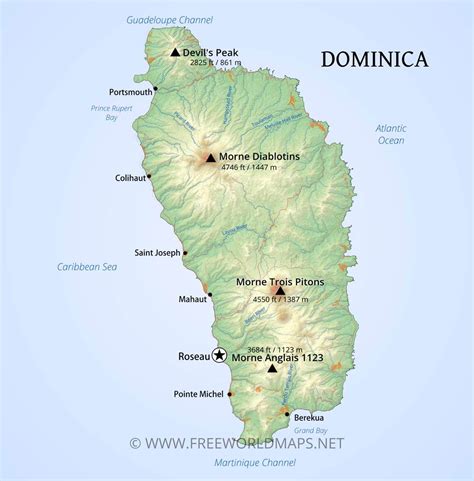 Physical Attributes of Dominica Phoenix