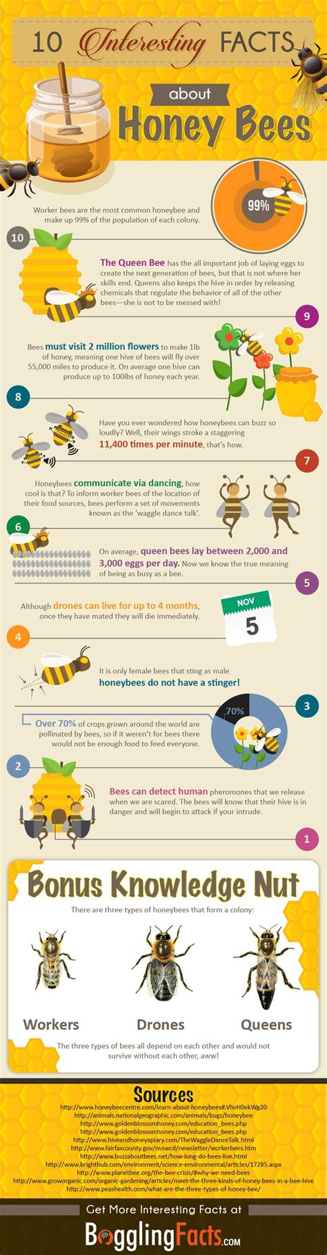 Physical Characteristics of Honey Haven