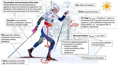 Physical Characteristics of the Talented Skier