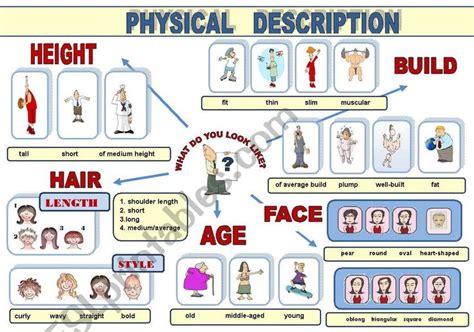 Physical Description: Age and Height