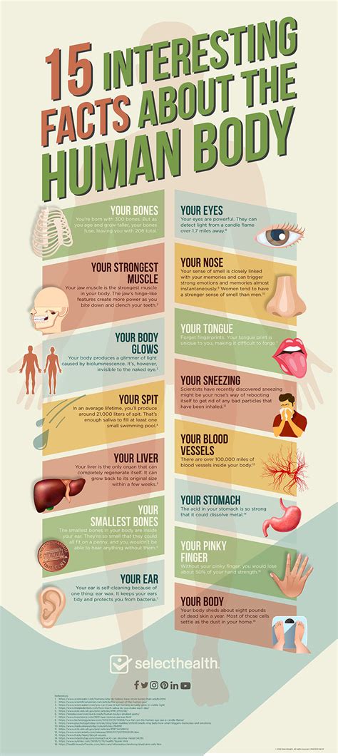 Physical Features and Body Statistics