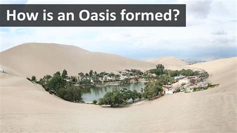 Physical Features and Height of Oasis Star