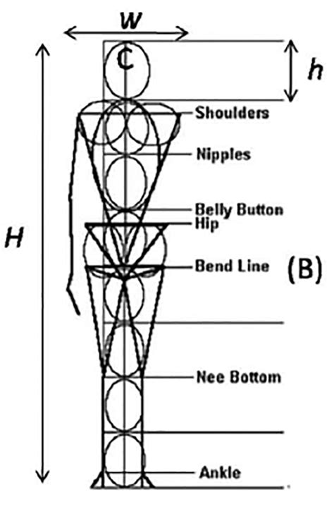 Physical Outlook and Body Proportions