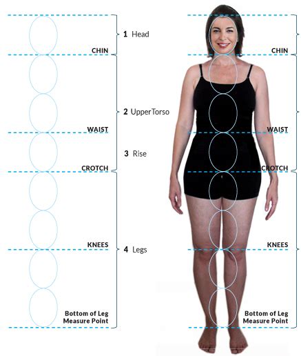 Physical Proportions: Body Measurements Exposed