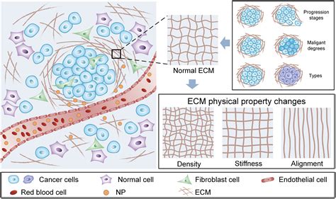 Physical Representation of Tumors on the Limb in Dreams