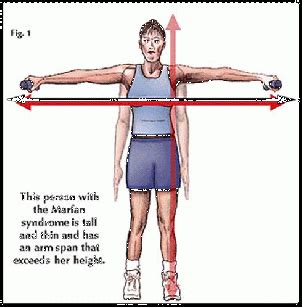 Physical Statistics: Tallness and Physique