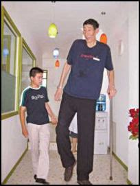 Physical Statistics of the Tallest Personality