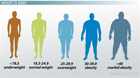 Physical Stats: Stature and Body Shape