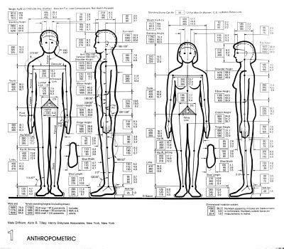 Physical Statues and Body Measurements