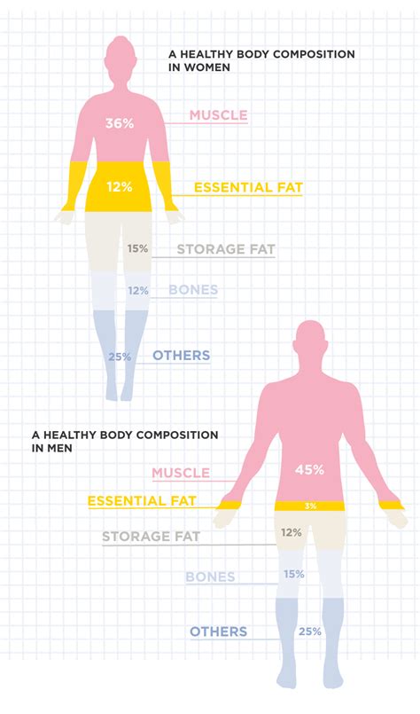 Physique: What is Ashton Moore's body composition like?