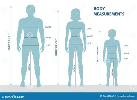 Physique Measurements and Silhouette