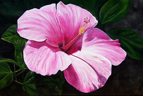 Pink Hibiscus in Art and Literature