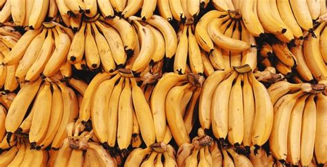 Plantain Fruit as a Symbol of Prosperity