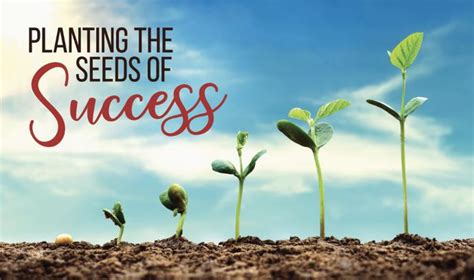 Planting the Seeds of Success: Key Steps to Launch a Lucrative Vegetable Vendition Business