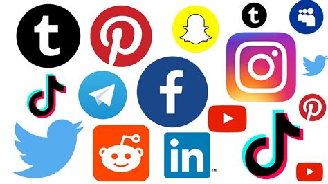 Popular social media platforms of Anika Bee