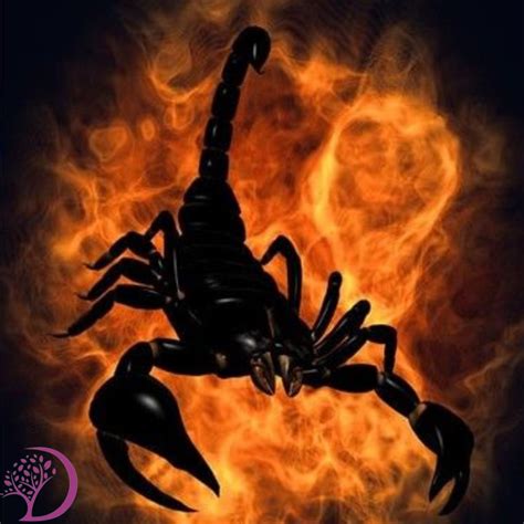 Possible Interpretations of Ingesting a Scorpion in a Dream