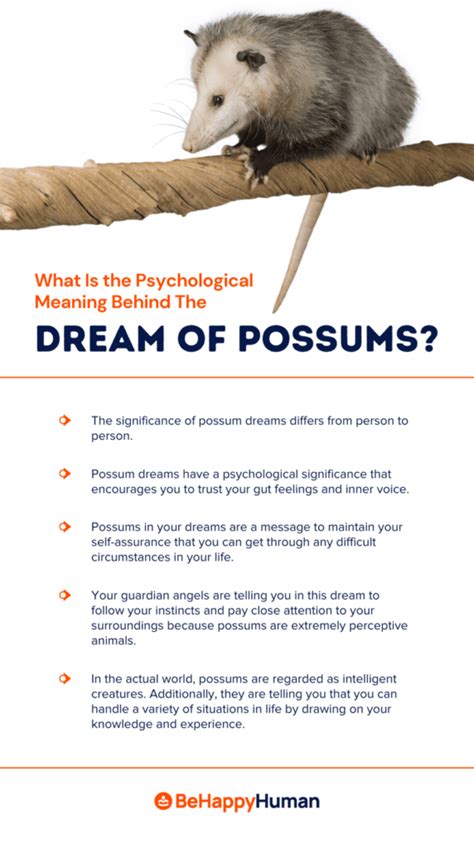 Possums in Dreams: Deciphering Their Symbolic Significance