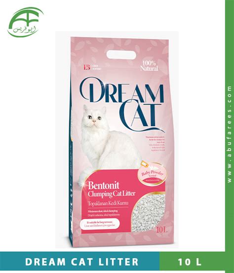 Practical Tips for Recurring Dreams about Kitty Litter: How to Attain Clarity