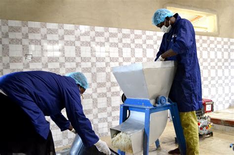 Preserving and Promoting the Rich Heritage of Garri in Contemporary Nigeria