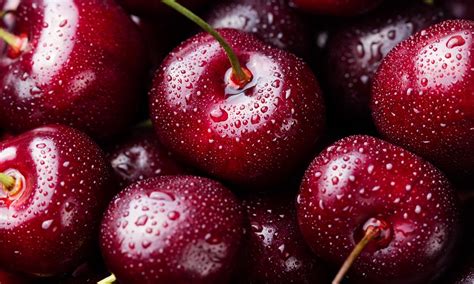 Preserving the Freshness of Harvested Cherries