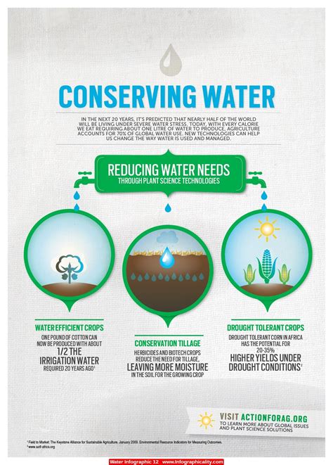 Preserving the Magnificence: Sustainable Practices for the Conservation of the Serene Waterbody