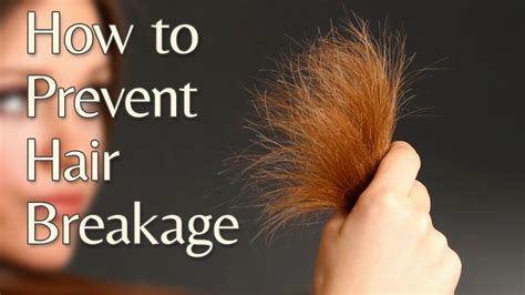 Prevent Damage and Breakage