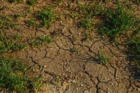 Protecting Clay Soil from Erosion