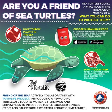 Protecting Our Marine Friends: Conservation Efforts for Oceanic Turtles