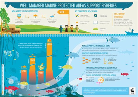 Protecting our Lifelines: Promoting Sustainable Practices for Long-Term River Preservation