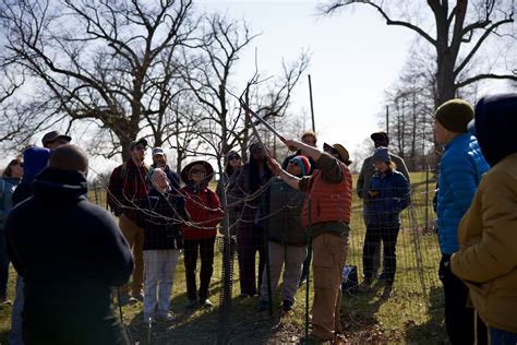 Pruning and Harvesting: The Skillful and Knowledgeable Management of Orchards