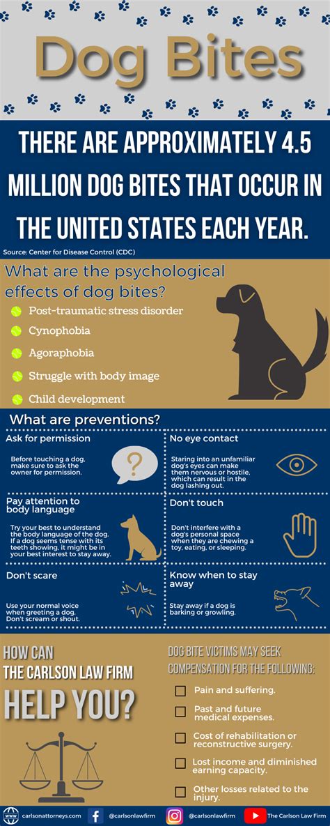 Psychological Explanations for Dreams Involving Canine Attacks on Young Individuals