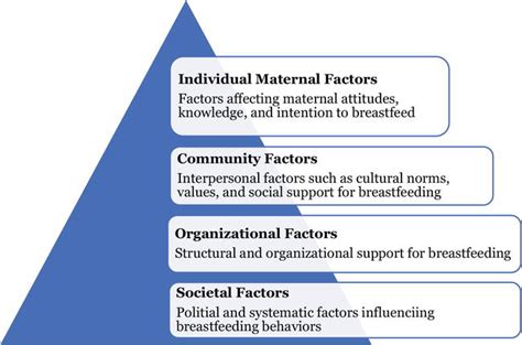 Psychological Factors Influencing Dreams of Neglecting Infant's Feeding