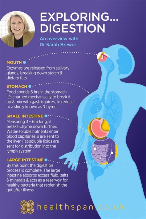 Psychological Insights into Disturbed Digestive Dreams