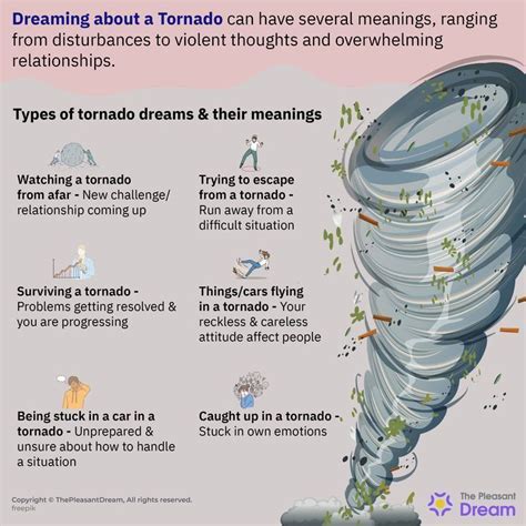 Psychological Interpretation of Dreams involving Thunderstruck Forests