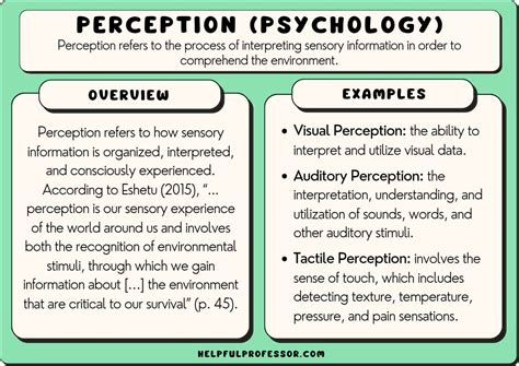 Psychological Perceptions of the Enigmatic Presence