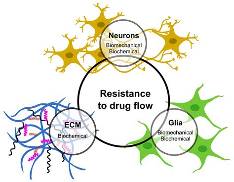 Psychological Perspectives: Deciphering the Insights of Drug-Infused Dreams