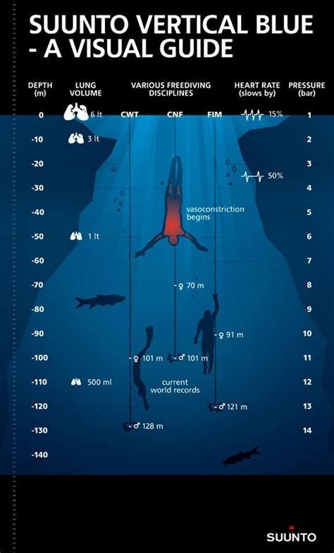 Psychological Perspectives on the Symbolism of Movement in Shallow Aquatic Environments: Gaining Insight into Dreams