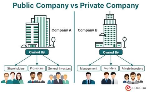 Public vs. Private Persona: A Tale of Two Facets