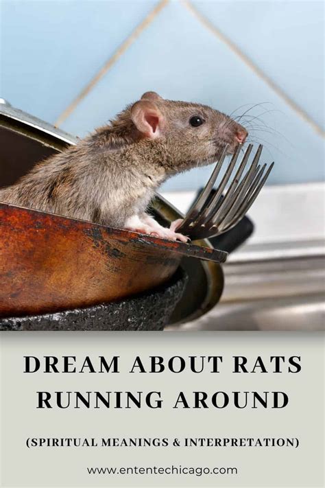 Rats in Dreams: Unveiling the Hidden Meanings of Fear and Discontent