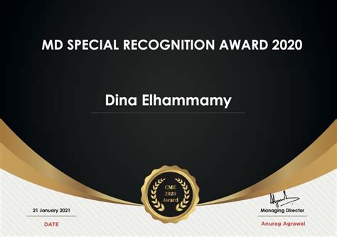 Recognition and Awards Received by Dina Sky