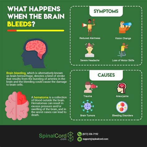 Recovery and Rehabilitation after Hemorrhage in the Brain: The Path to Healing